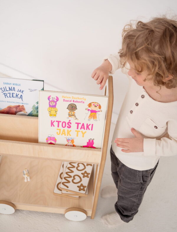 car montessori library shelf