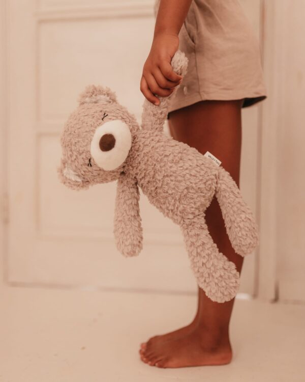 stuffed animal mr. pyxie teddy