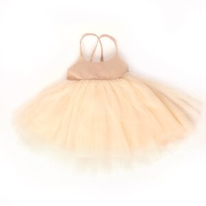 ballerina dress blush