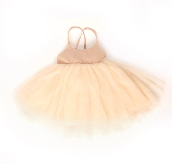 ballerina dress blush