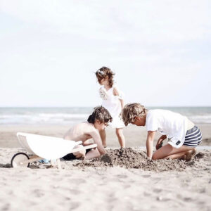 toy wheelbarrow white